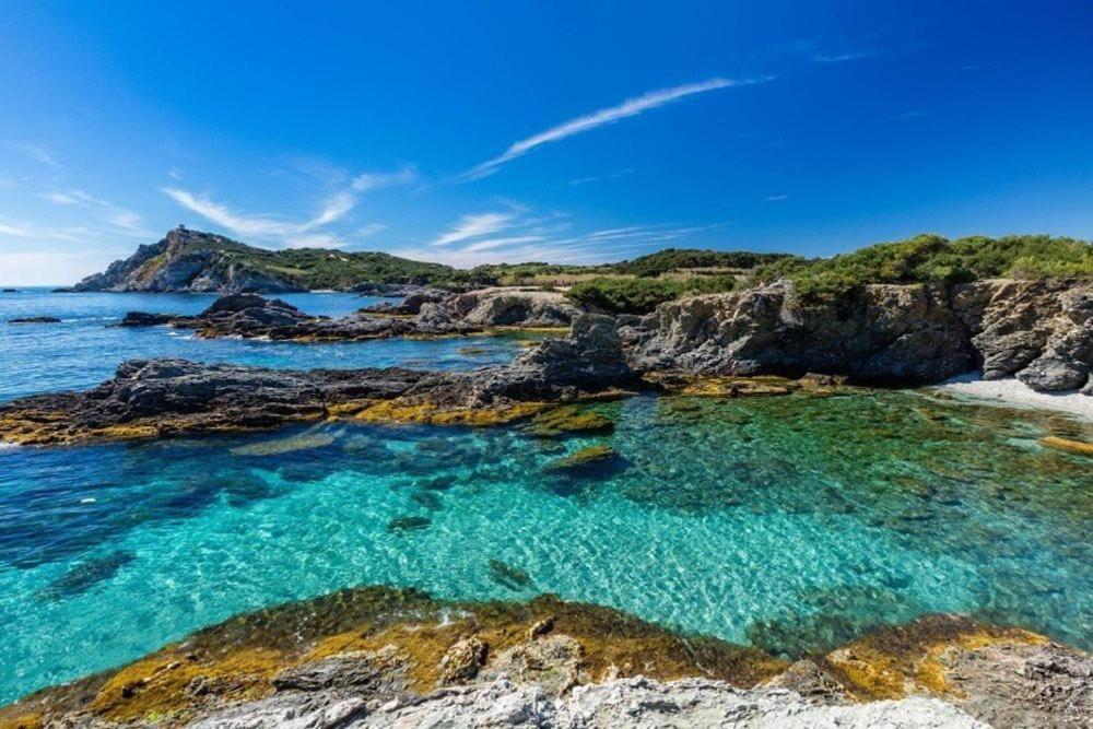 Vacances Ideales Limite Sanary Sur Mer !! Logement Partage Shared Accommodation Ollioules Zewnętrze zdjęcie